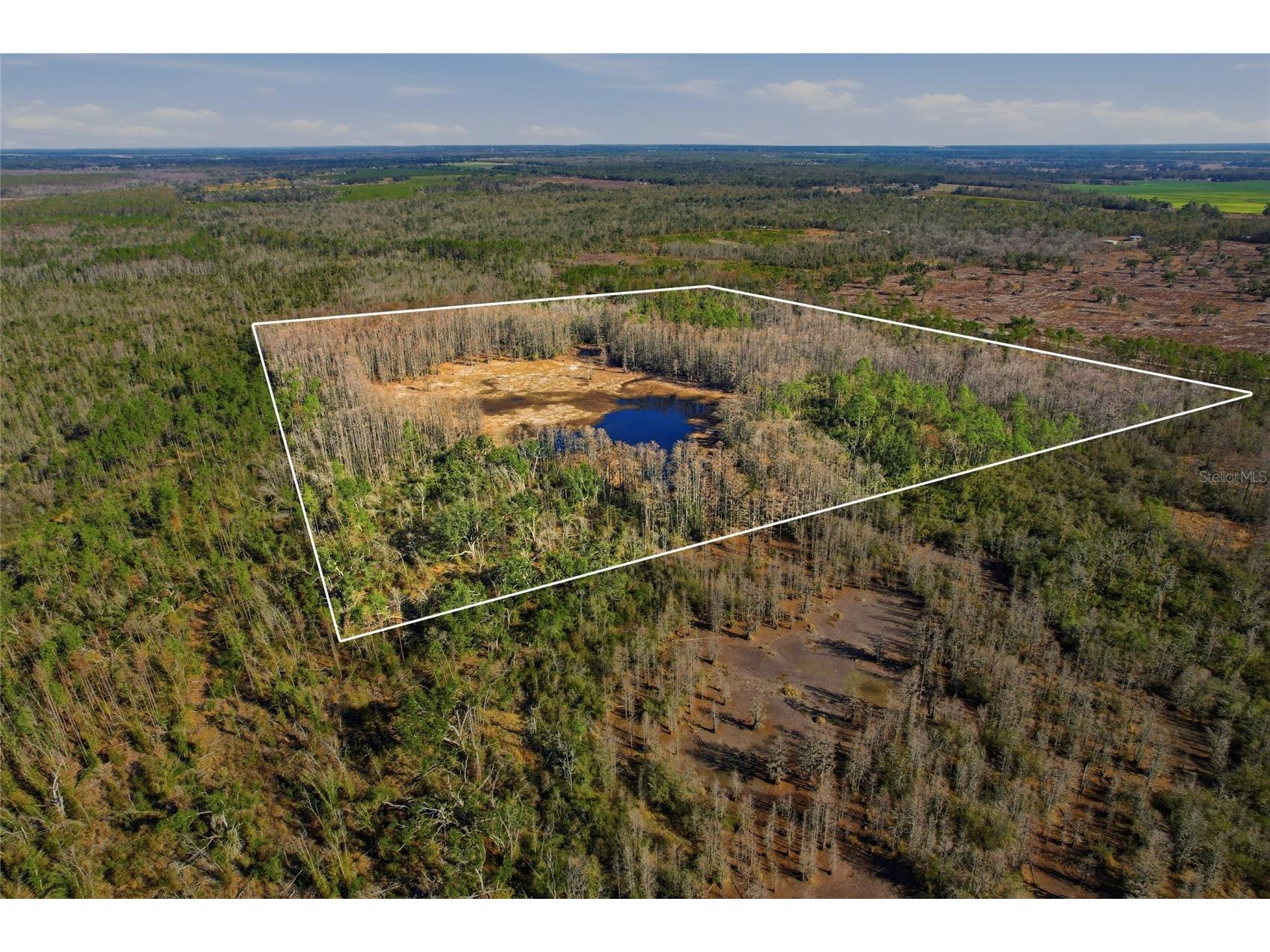 Sw Tower Road Lee FL 32059 TB8427513 image25