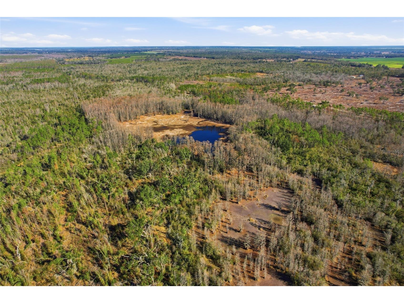 Sw Tower Road Lee FL 32059 TB8427513 image26