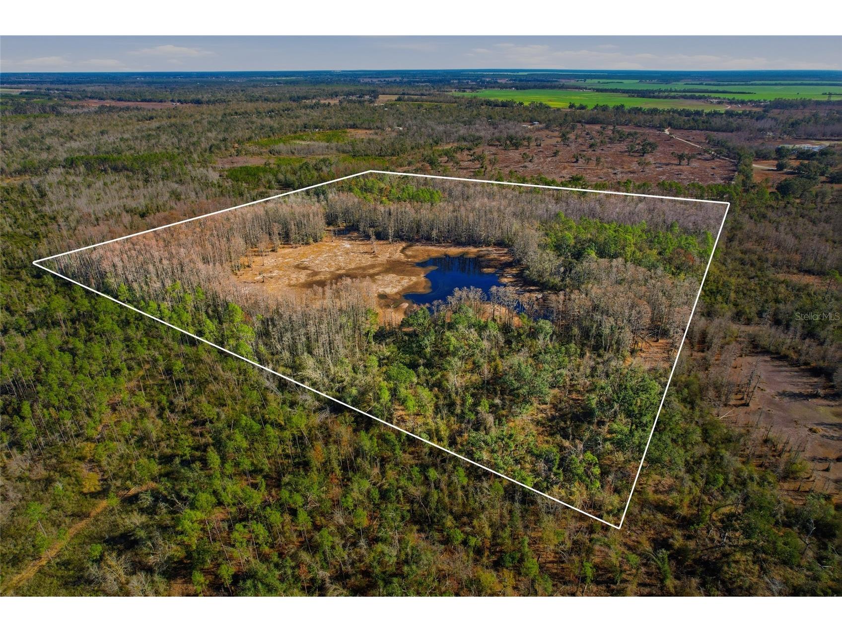 Sw Tower Road Lee FL 32059 TB8427513 image27