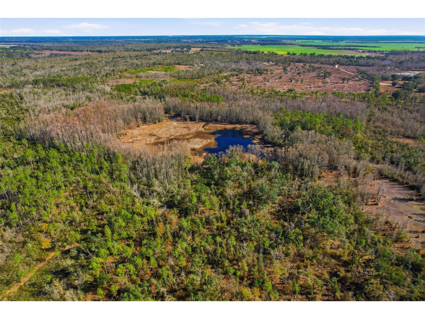 Sw Tower Road Lee FL 32059 TB8427513 image28