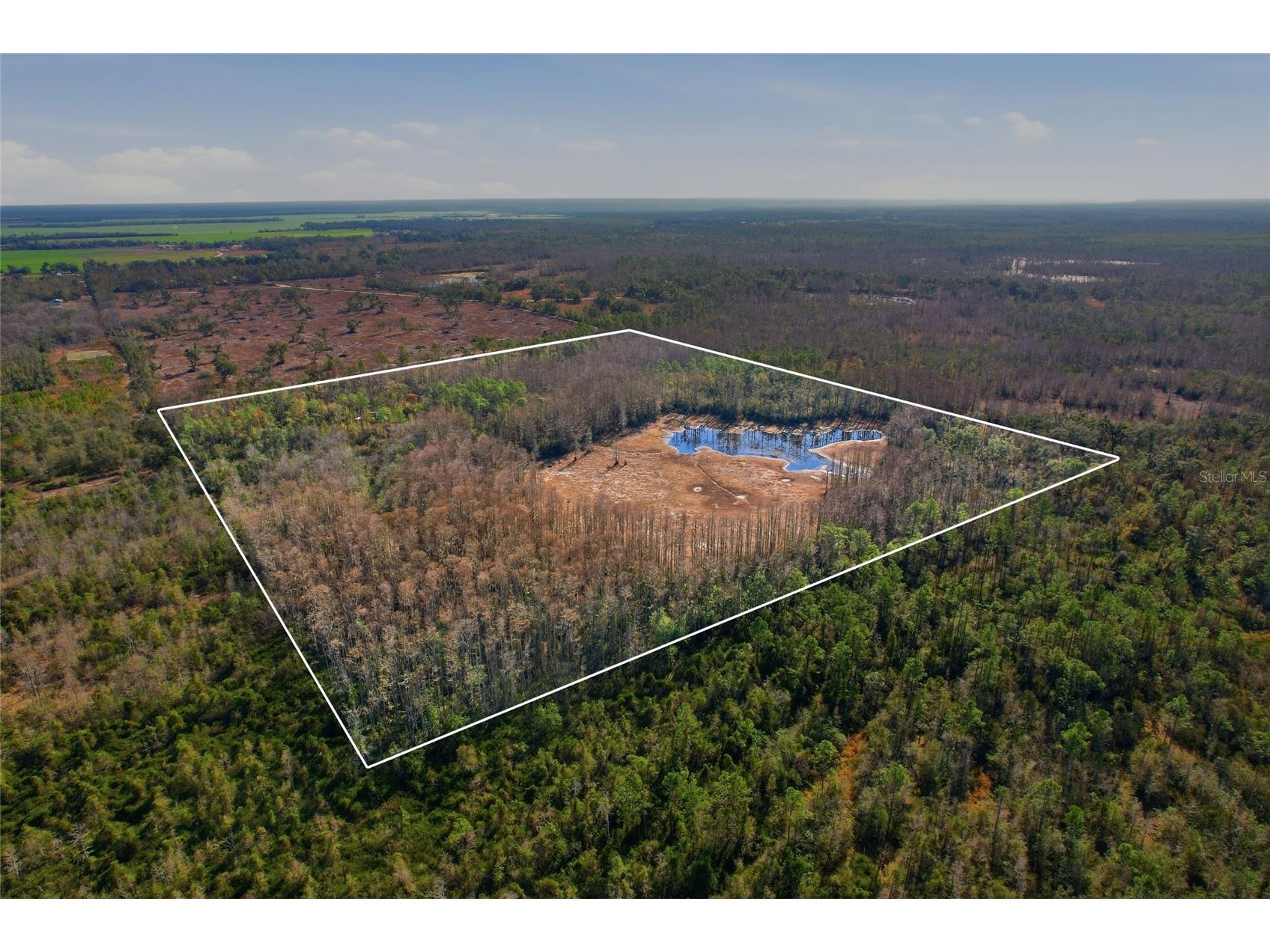 Sw Tower Road Lee FL 32059 TB8427513 image29