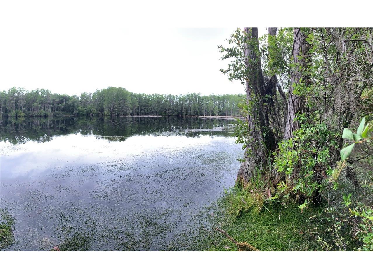 Sw Tower Road Lee FL 32059 TB8427513 image3