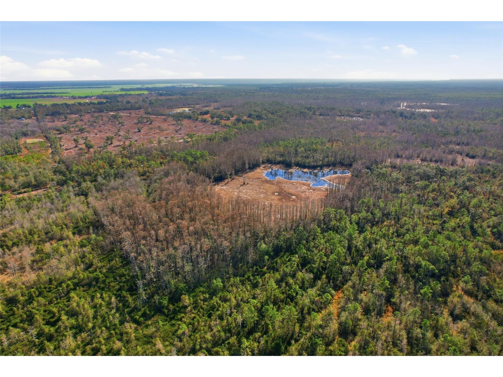 Sw Tower Road Lee FL 32059 TB8427513 image30