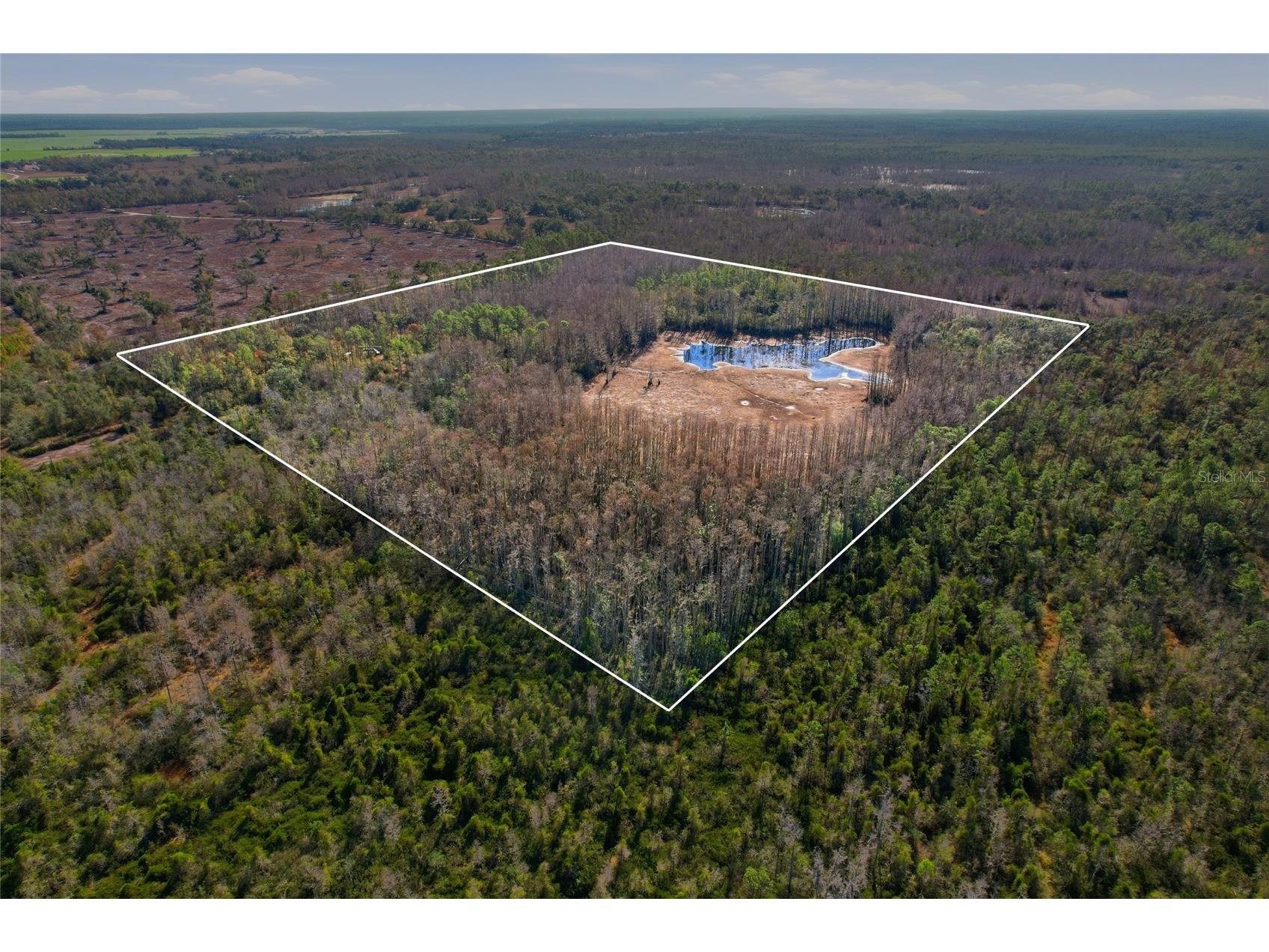 Sw Tower Road Lee FL 32059 TB8427513 image31