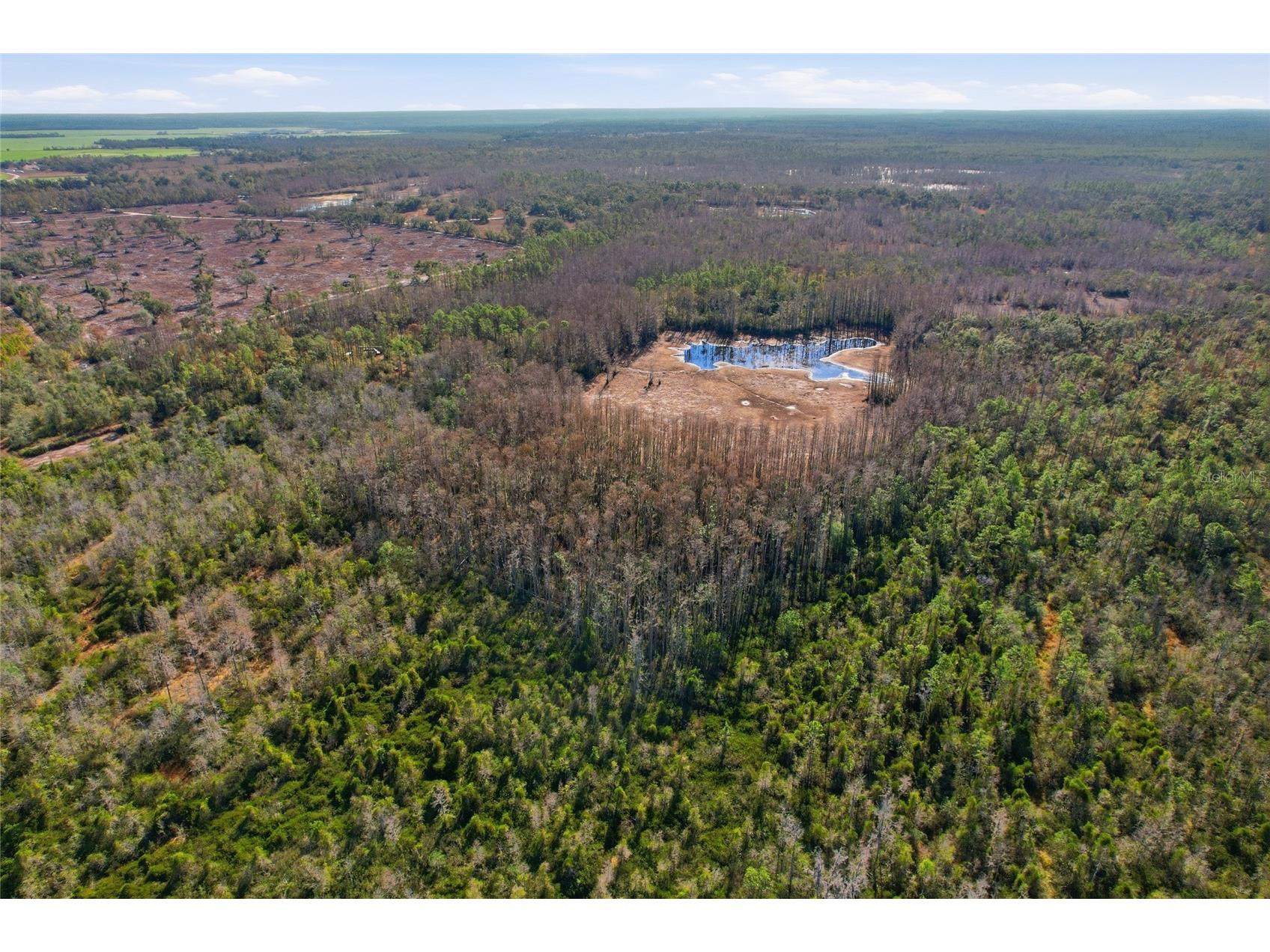 Sw Tower Road Lee FL 32059 TB8427513 image32