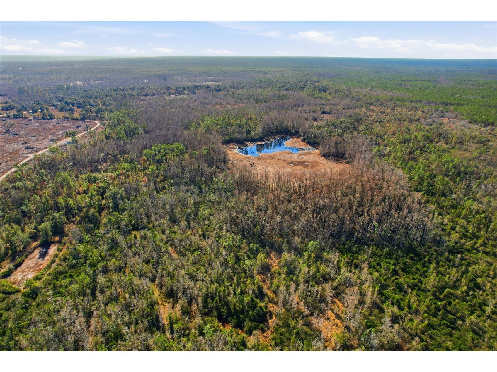 Sw Tower Road Lee FL 32059 TB8427513 image33