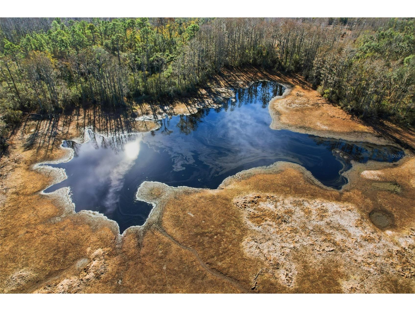 Sw Tower Road Lee FL 32059 TB8427513 image34