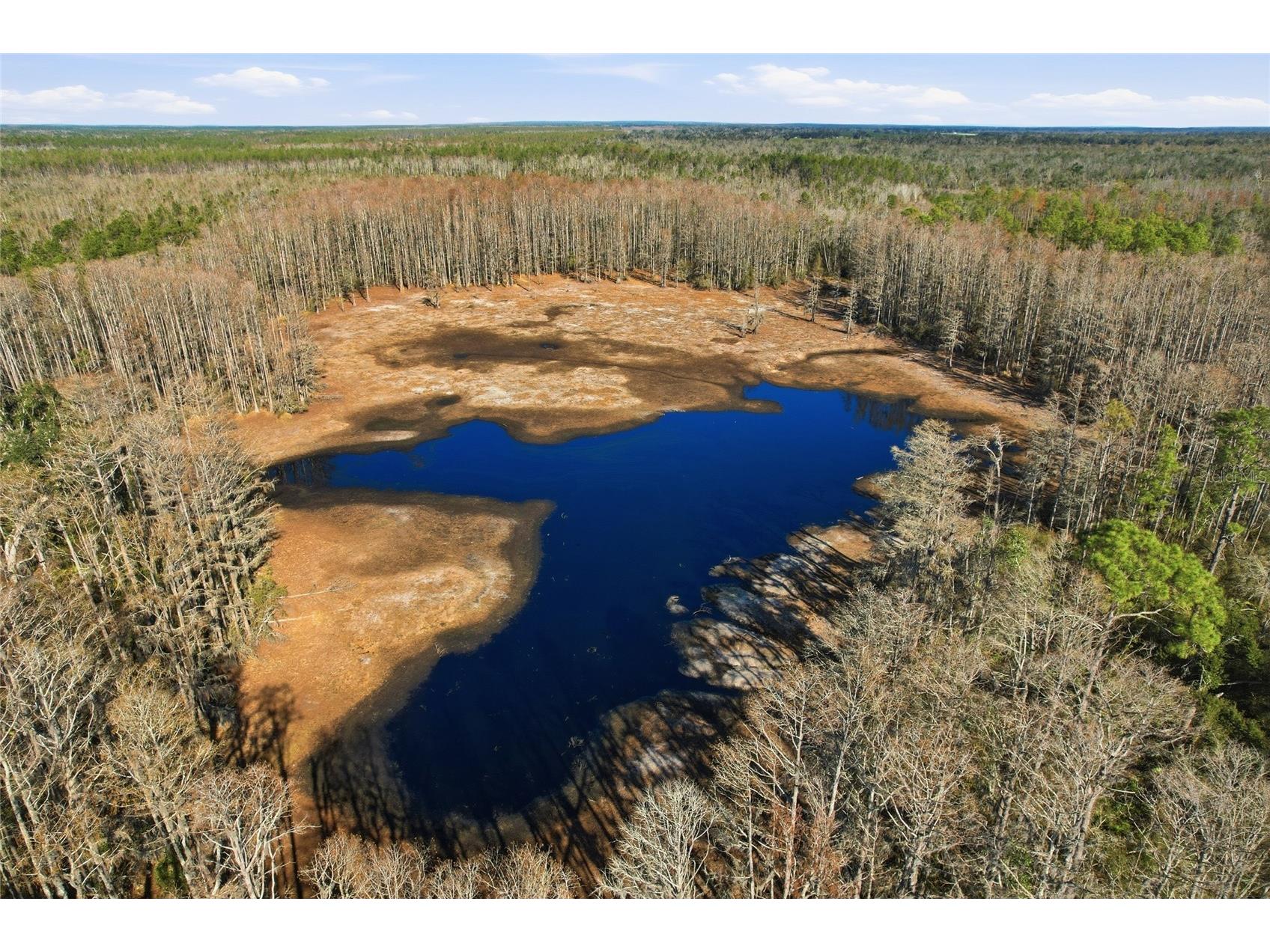 Sw Tower Road Lee FL 32059 TB8427513 image35