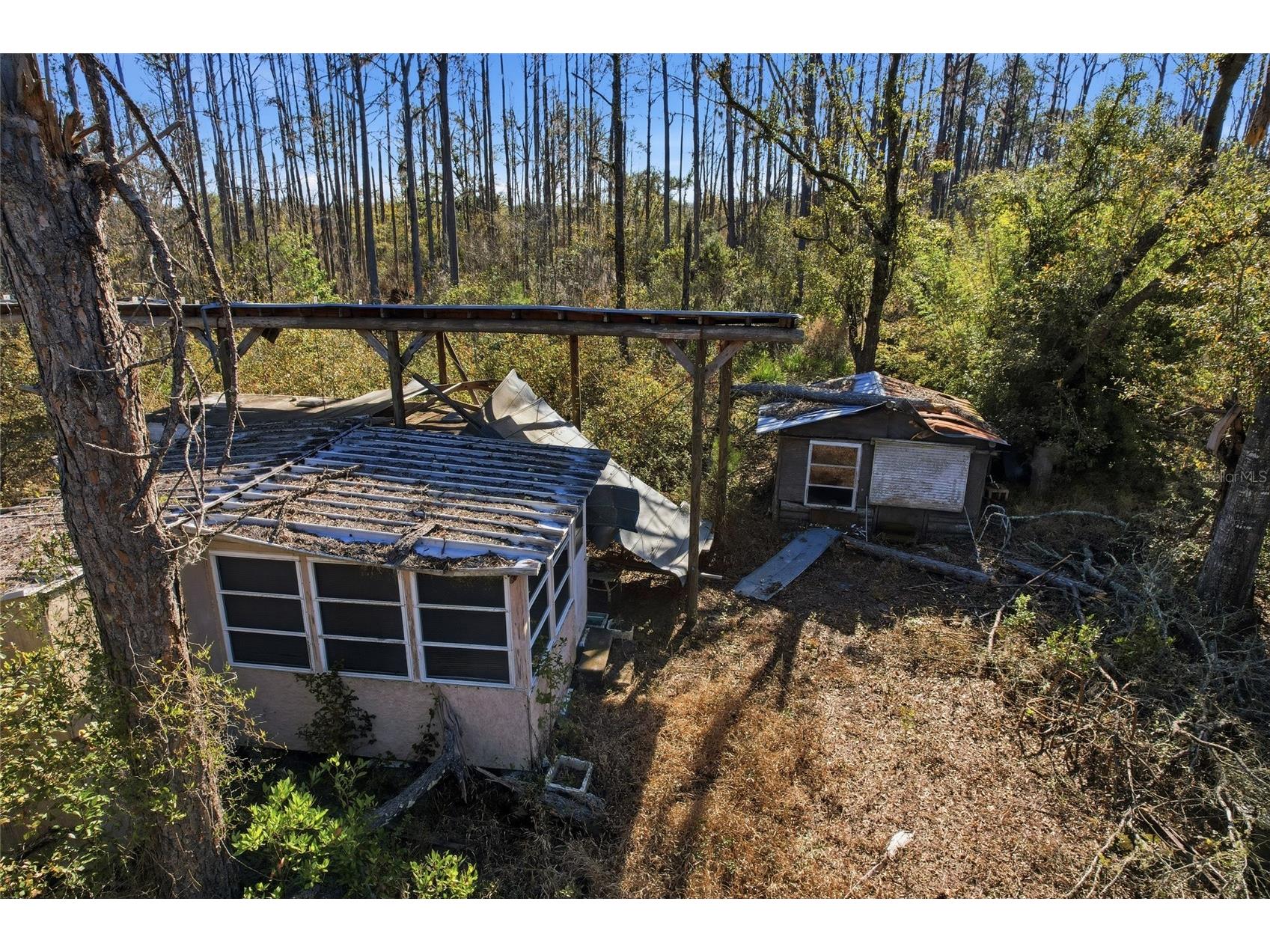 Sw Tower Road Lee FL 32059 TB8427513 image36