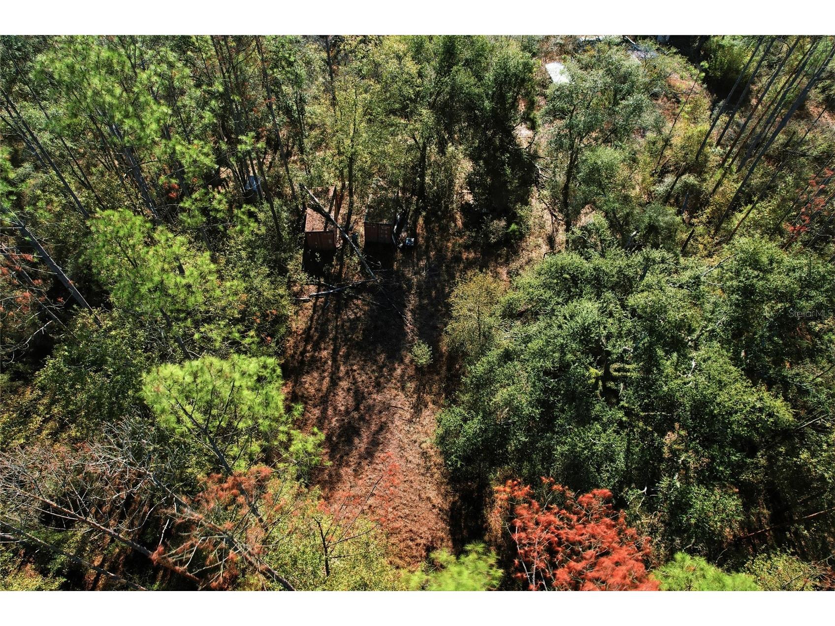 Sw Tower Road Lee FL 32059 TB8427513 image37