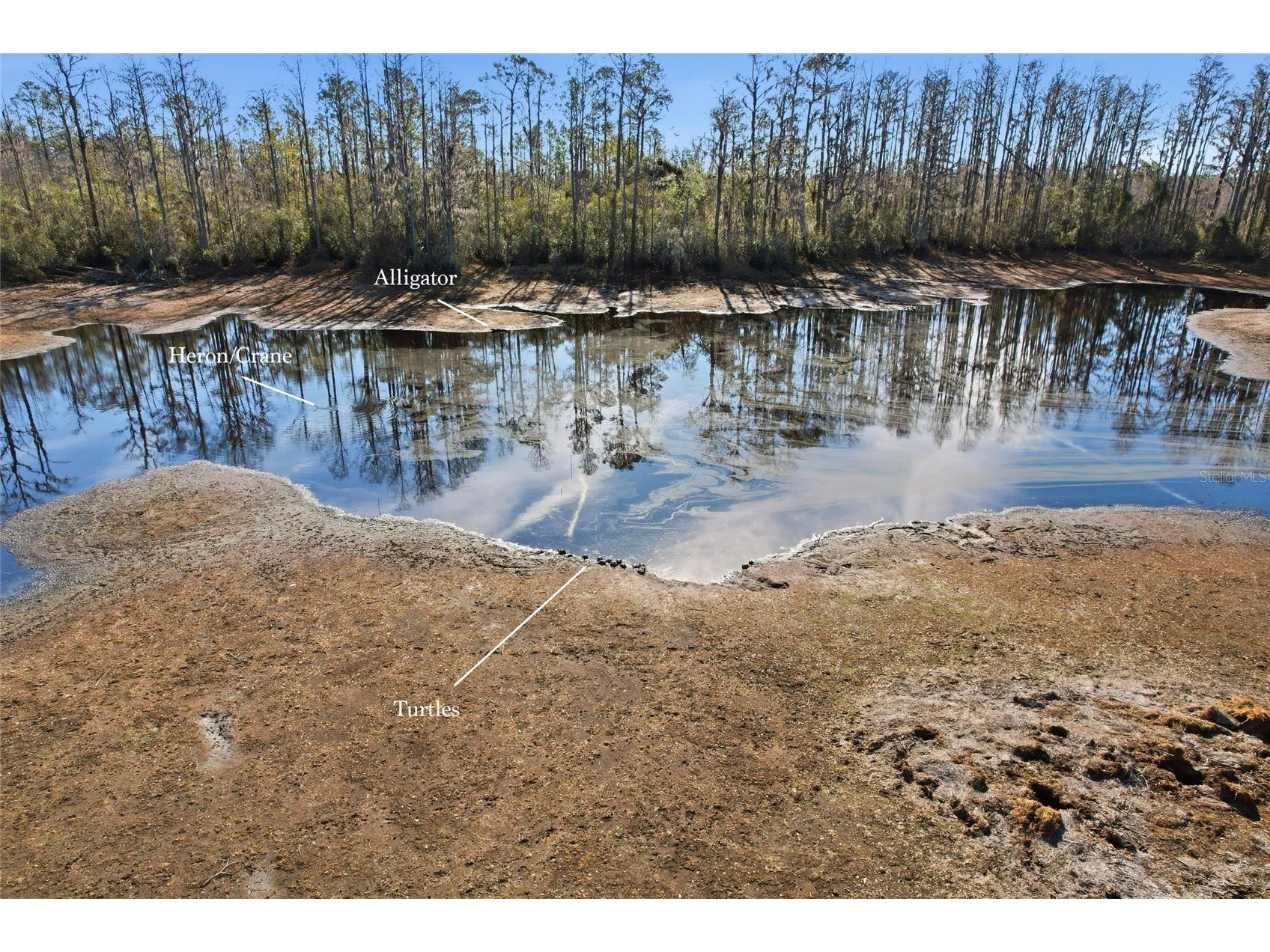 Sw Tower Road Lee FL 32059 TB8427513 image38