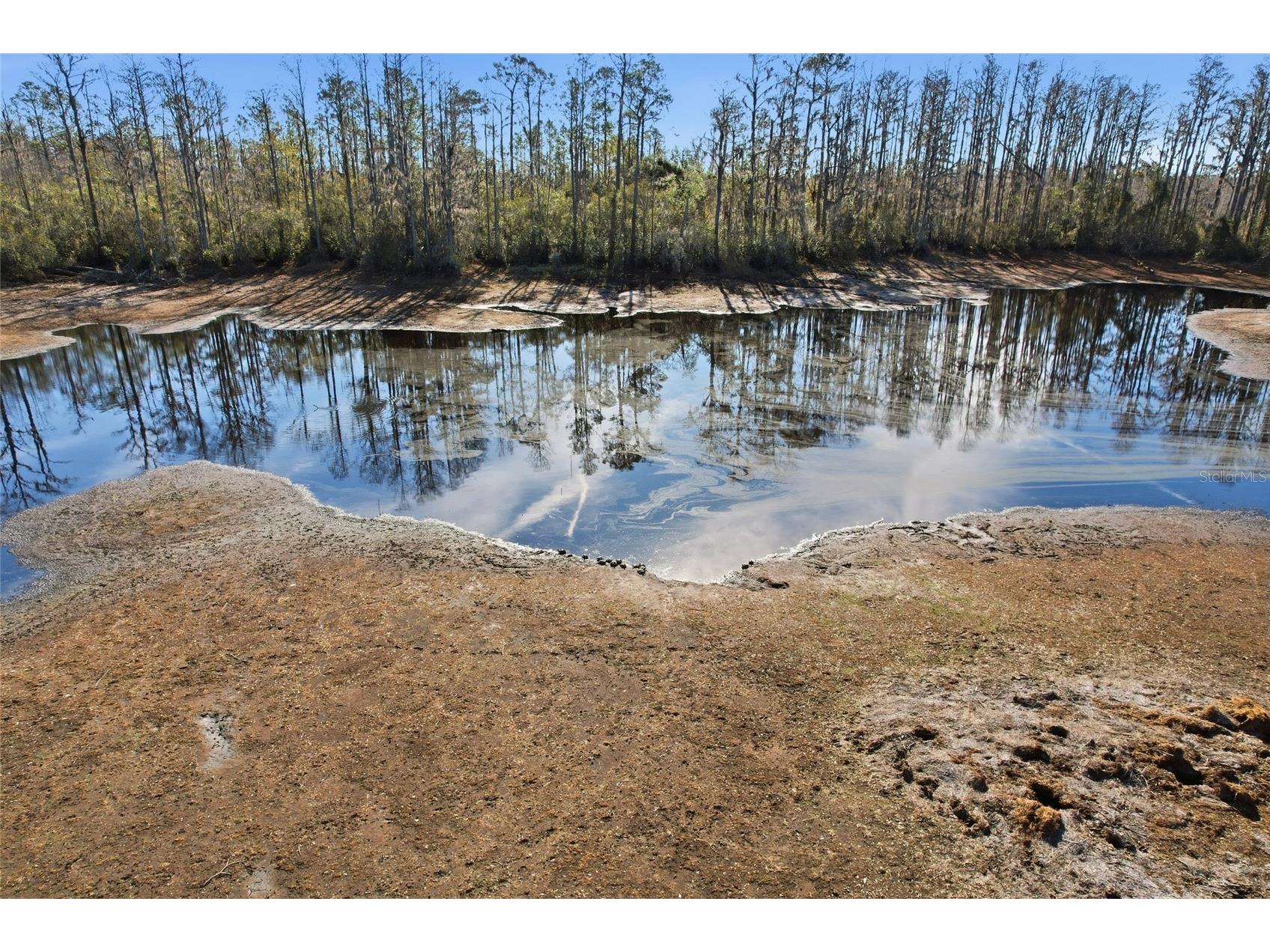 Sw Tower Road Lee FL 32059 TB8427513 image39