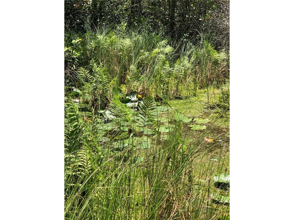 Sw Tower Road Lee FL 32059 TB8427513 image4