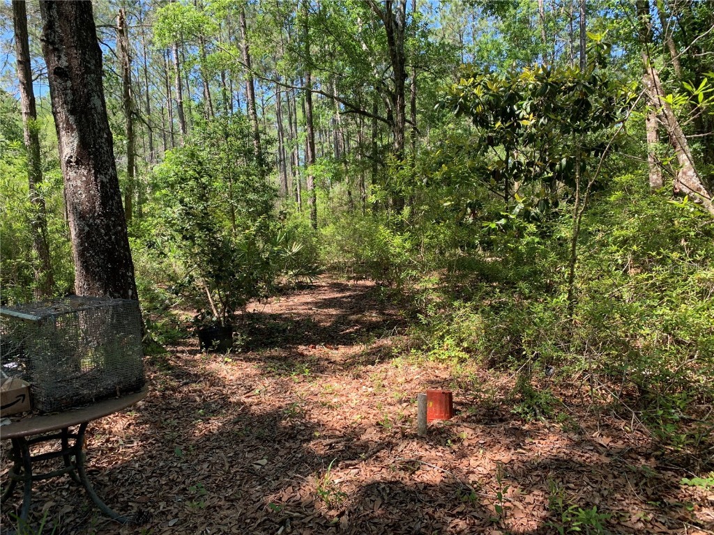 Sw Tower Road Lee FL 32059 TB8427513 image5