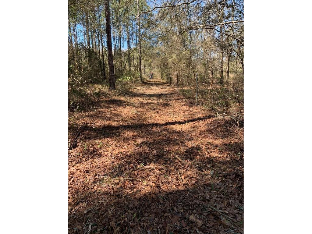 Sw Tower Road Lee FL 32059 TB8427513 image6