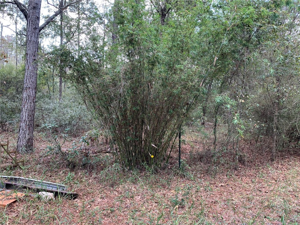 Sw Tower Road Lee FL 32059 TB8427513 image7