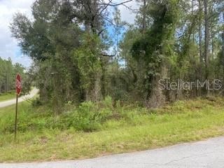 SW Viburnum Road Dunnellon FL 34431 OM657285 image1