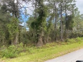SW Viburnum Road Dunnellon FL 34431 OM657358 image1