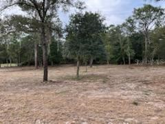 SW Viola Court Dunnellon FL 34431 OM668018 image1