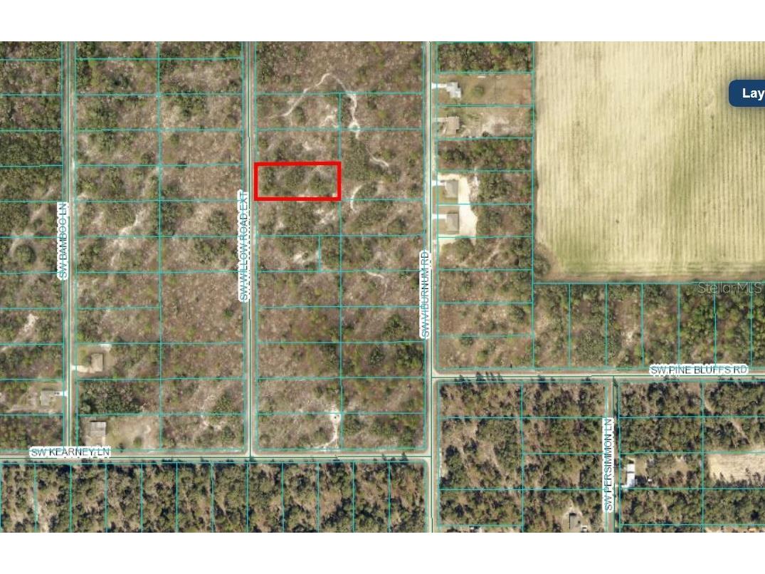 SW Willow Road Ext Dunnellon FL 34431 OM684836 image1