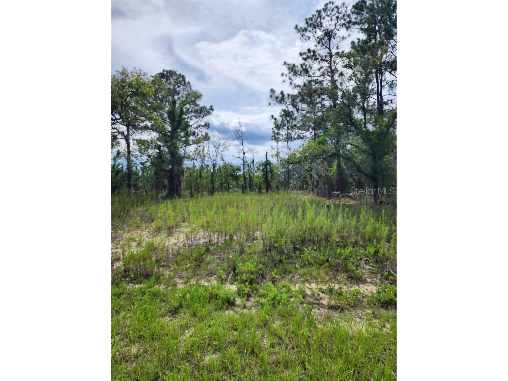 SW Winding Hills Road Dunnellon FL 34431 OM681846 image1