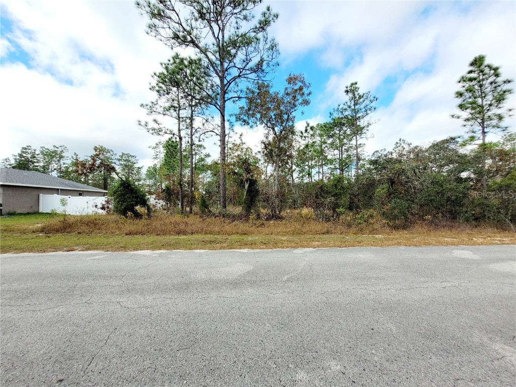 Sw Winding Hills Road Dunnellon FL 34431 OM714400 image1