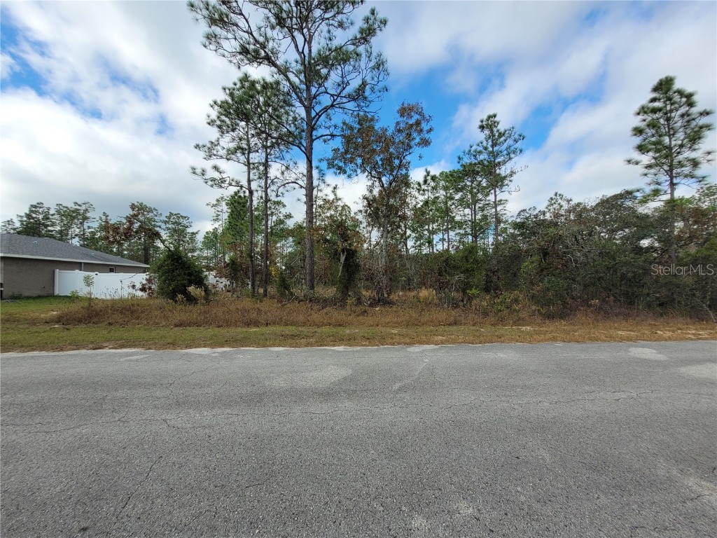Sw Winding Hills Road Dunnellon FL 34431 OM714400 image2