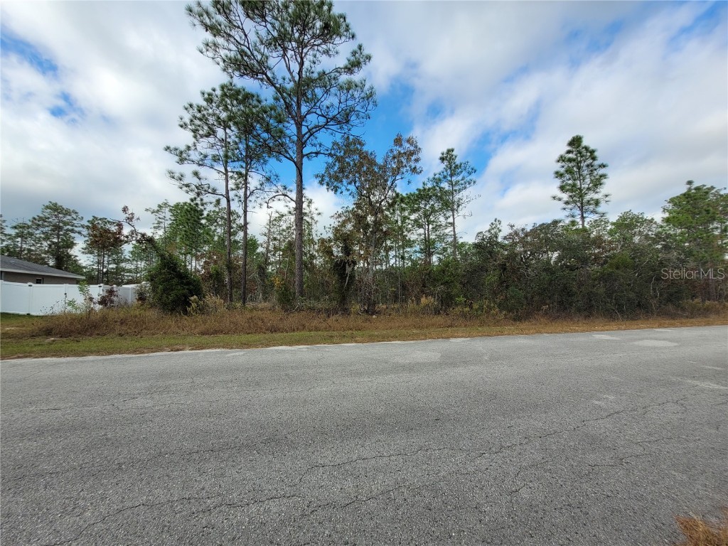 Sw Winding Hills Road Dunnellon FL 34431 OM714400 image4