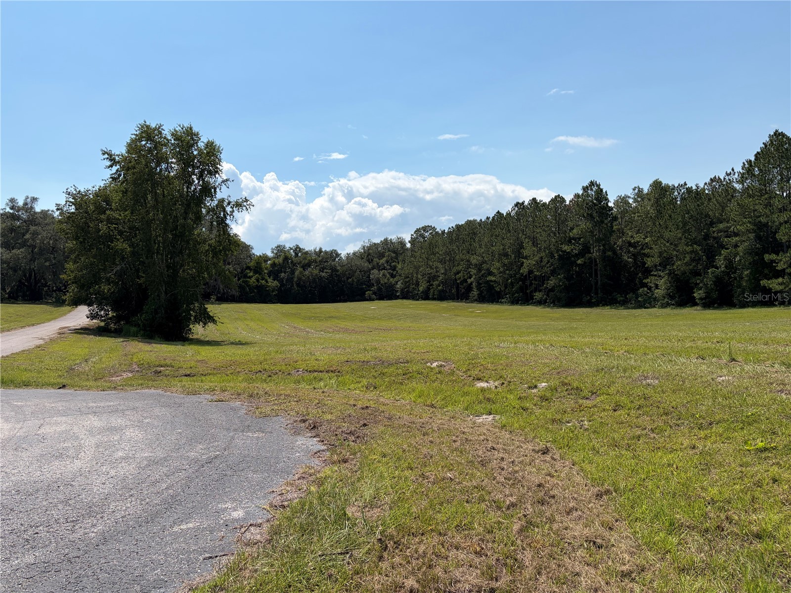 SW Windsor Court Lake City FL 32024 GC541604 image4