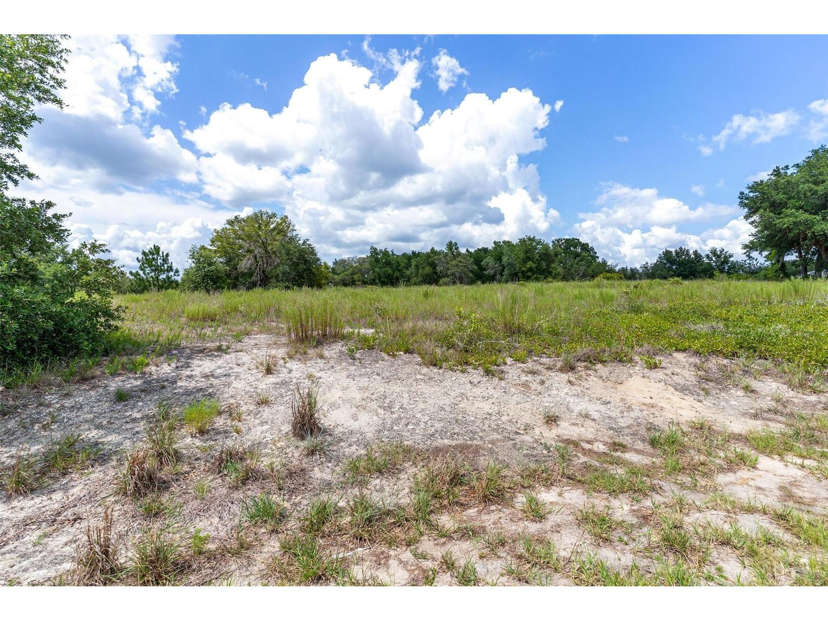 SW Zephyr Hill Court Dunnellon FL 34431 G5114449 image1