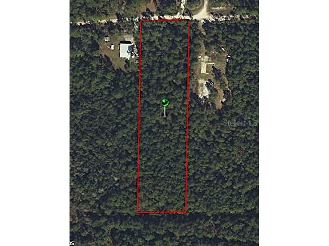 Swamp Deer Rd New Smyrna Beach FL 32168 O6256296 image1