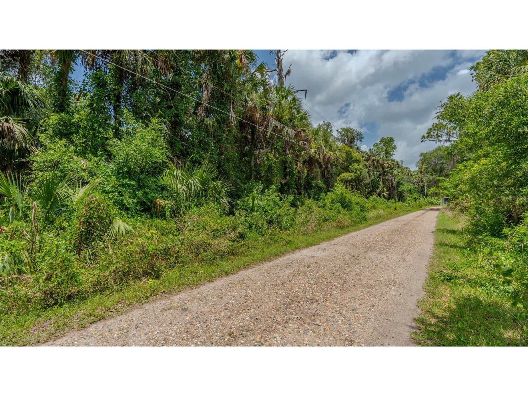 Swamp Lane Geneva FL 32732 A4695023 image14