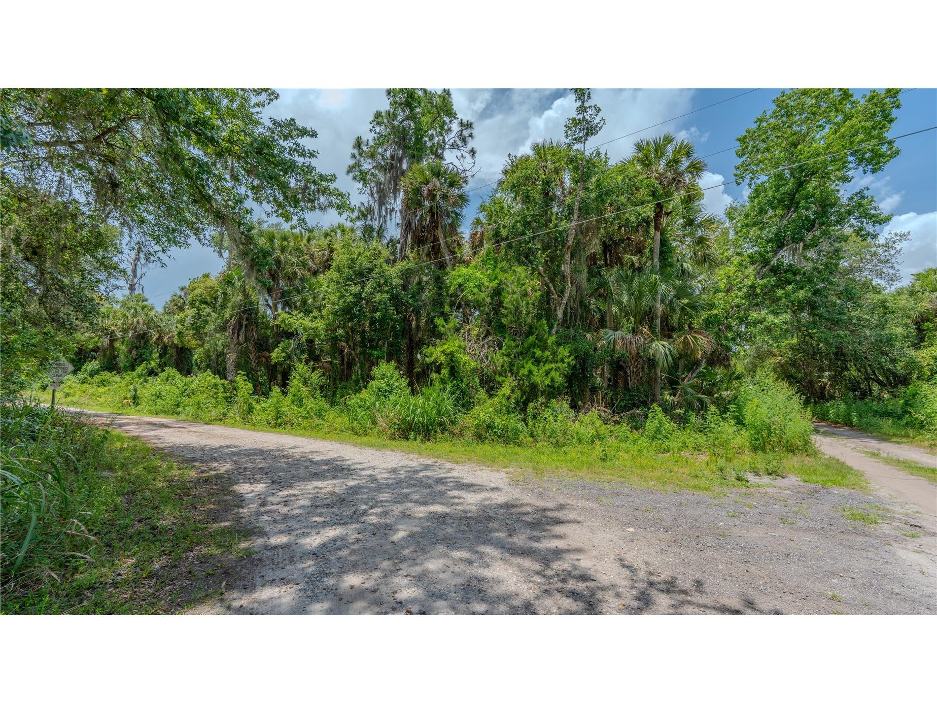 Swamp Lane Geneva FL 32732 A4695023 image16