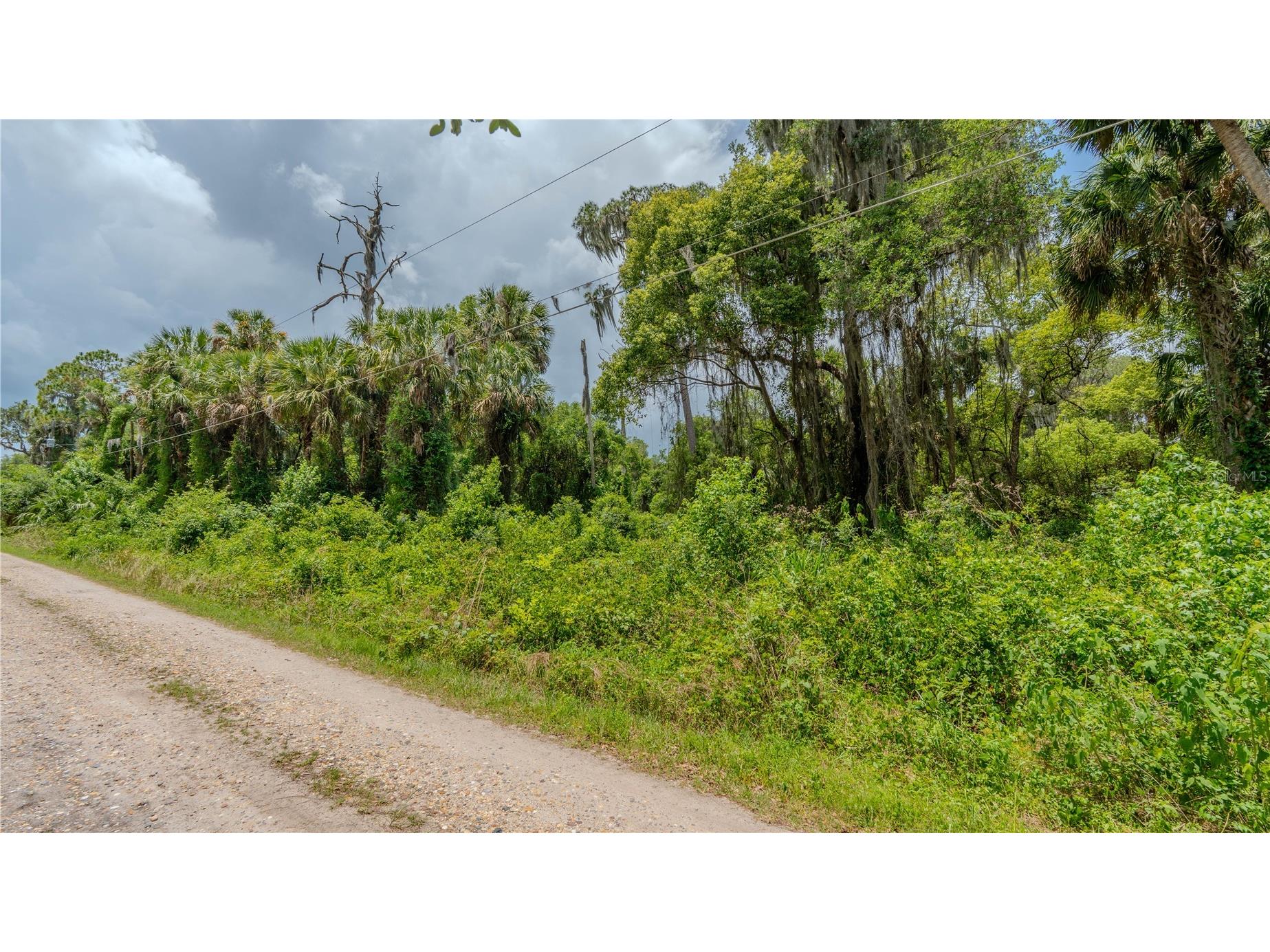 Swamp Lane Geneva FL 32732 A4695023 image18