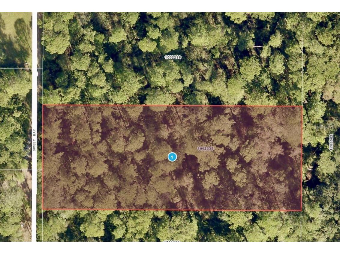 Sweet Bay S Deland FL 32720 V4942903 image1