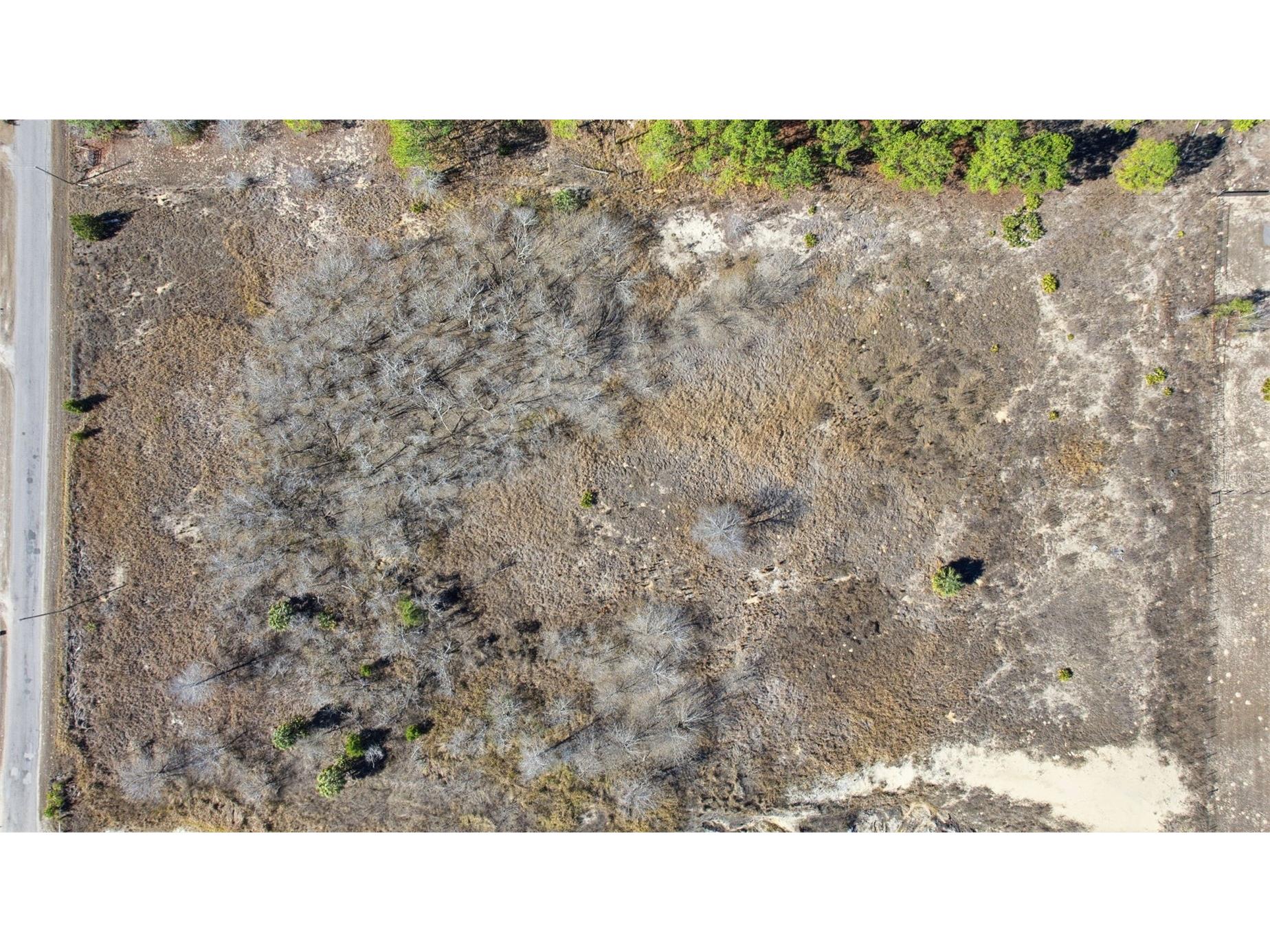 Sweet Gum Road Brooksville FL 34613 TB8465980 image24