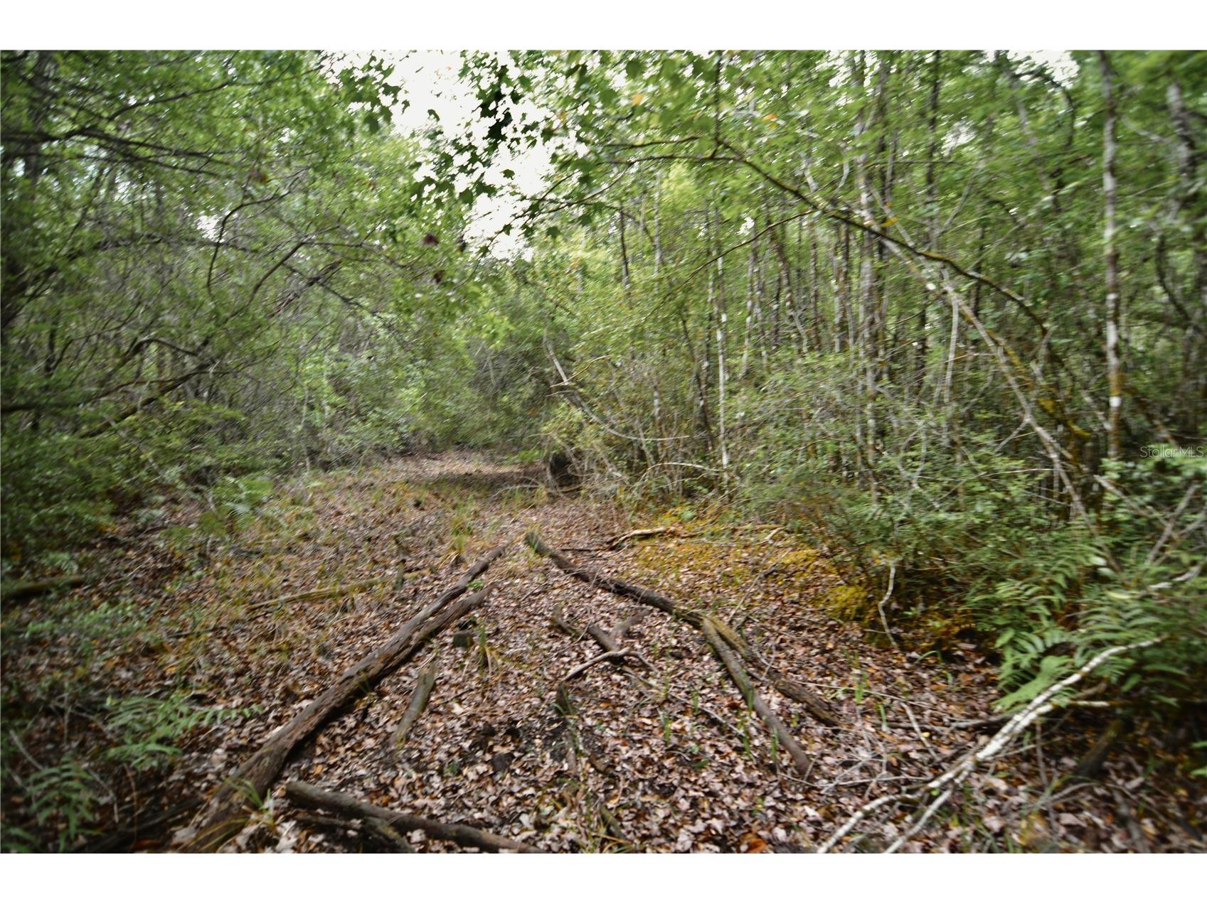 Sweet Gum Road Glen Saint Mary FL 32040 OM725868 image15