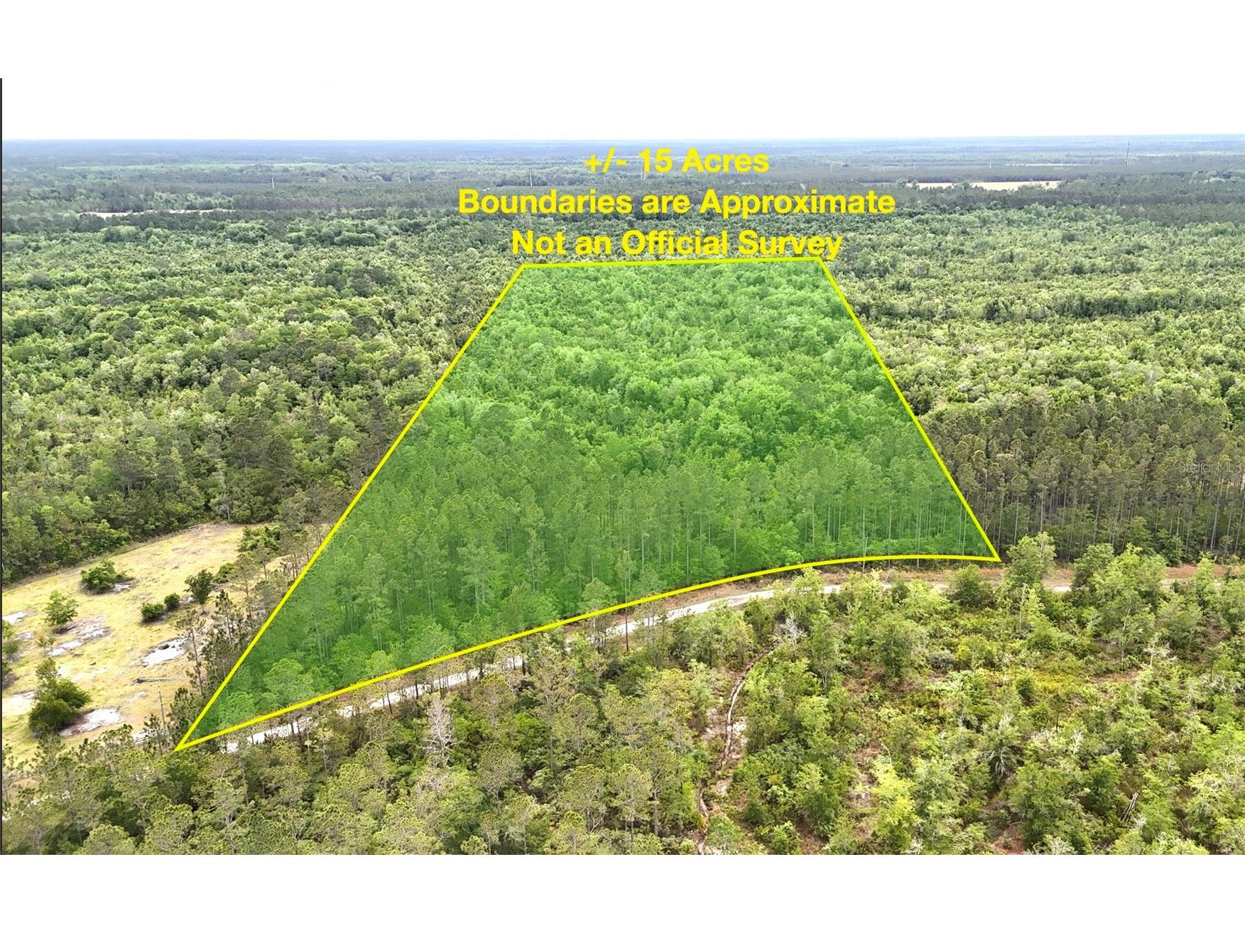 Sweet Gum Road Glen Saint Mary FL 32040 OM725868 image2