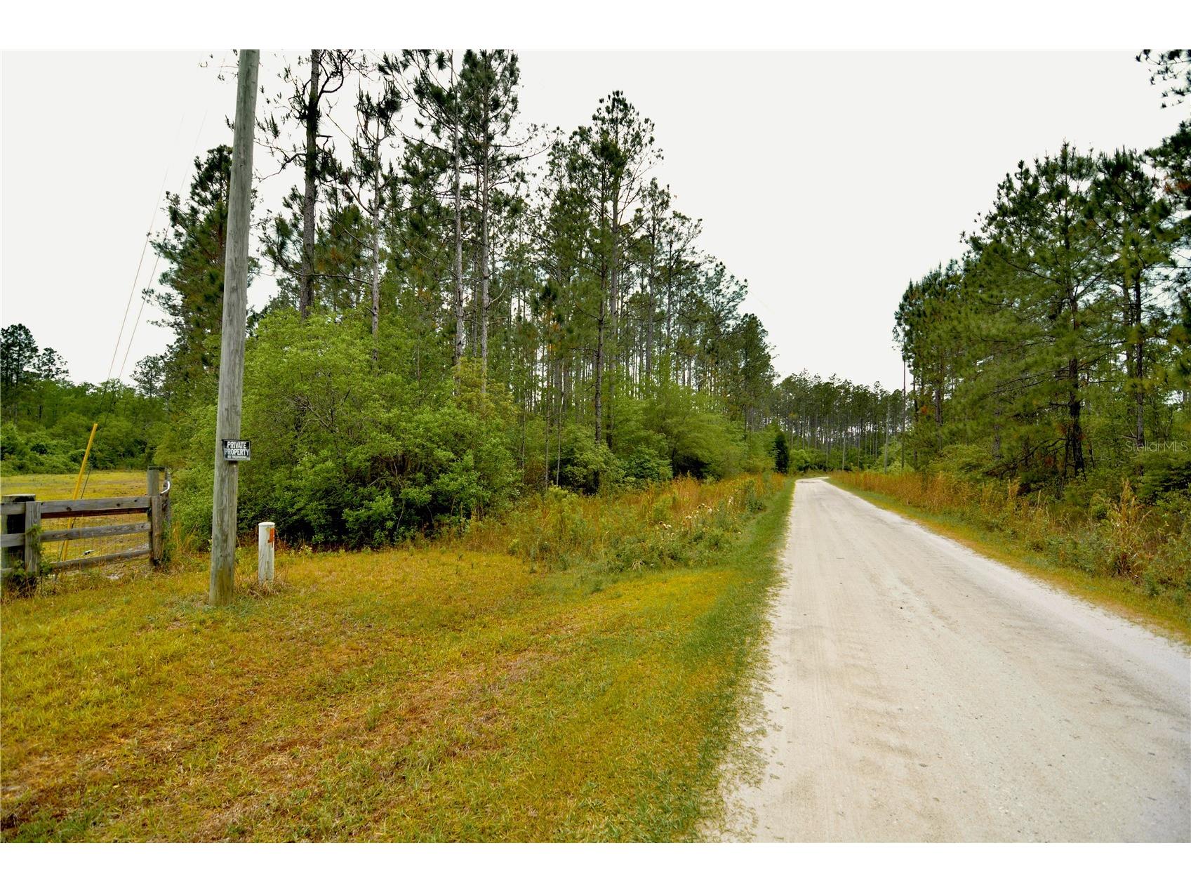 Sweet Gum Road Glen Saint Mary FL 32040 OM725868 image25