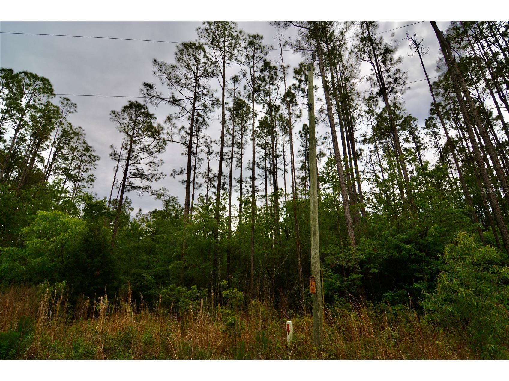 Sweet Gum Road Glen Saint Mary FL 32040 OM725868 image29