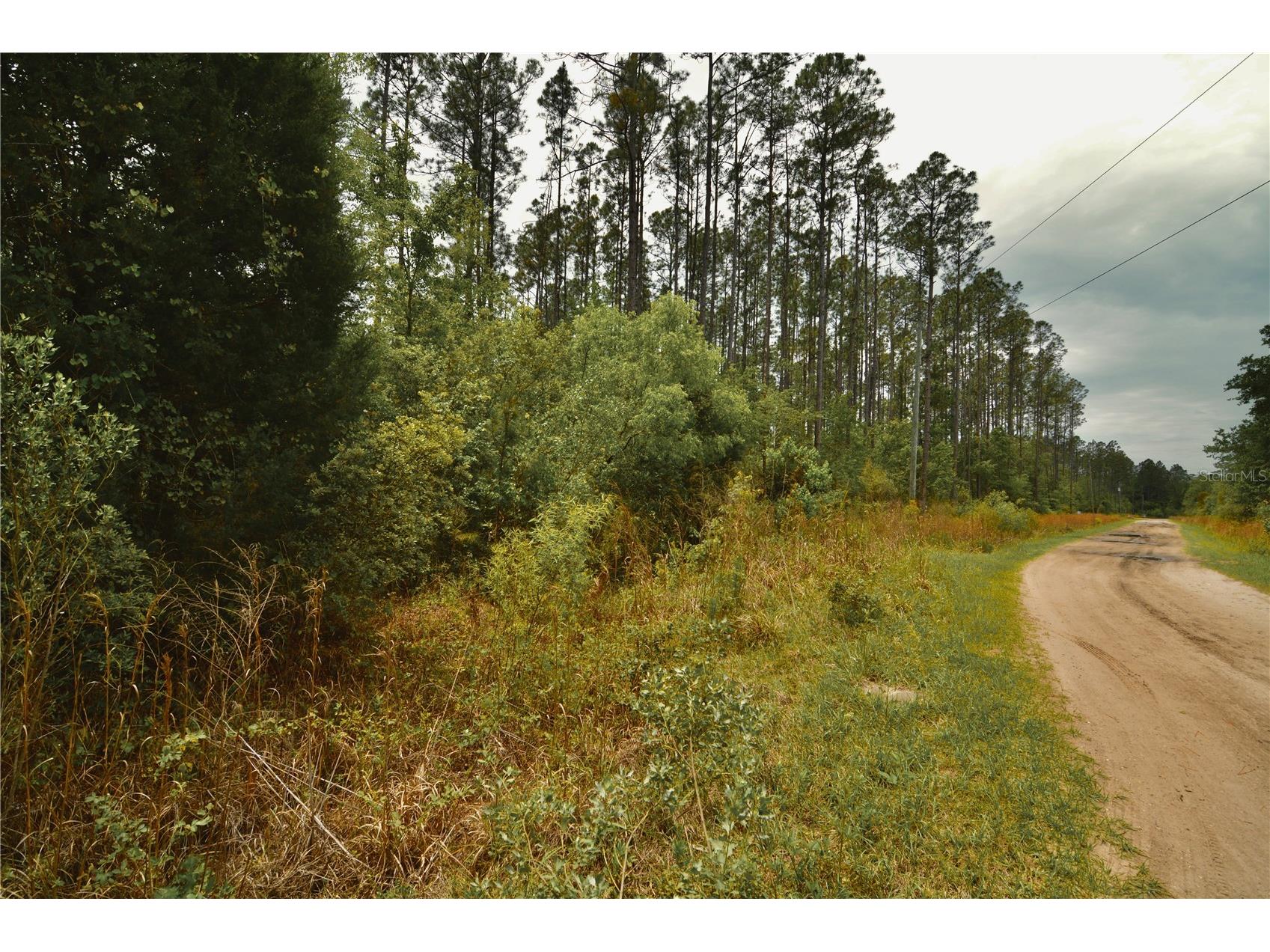 Sweet Gum Road Glen Saint Mary FL 32040 OM725868 image6