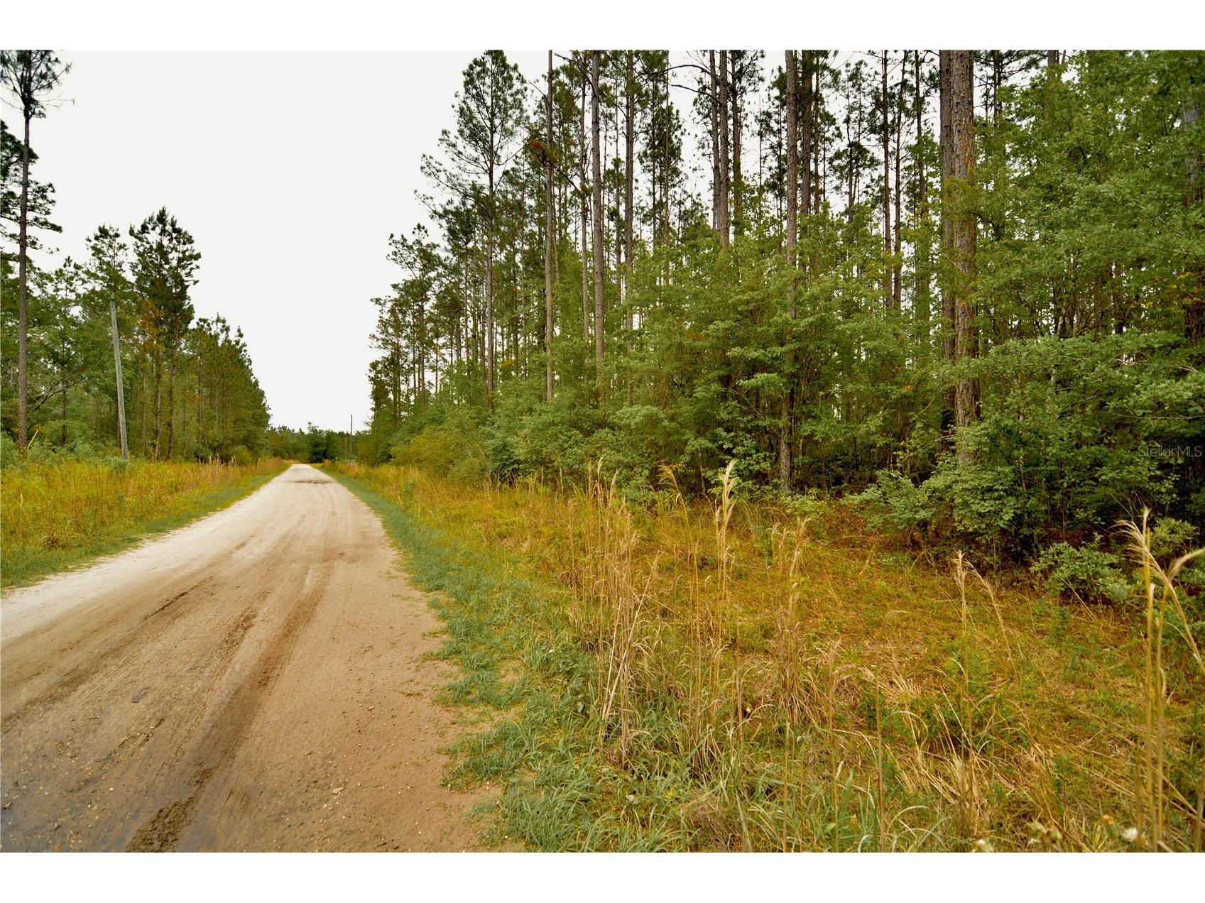Sweet Gum Road Glen Saint Mary FL 32040 OM725868 image7
