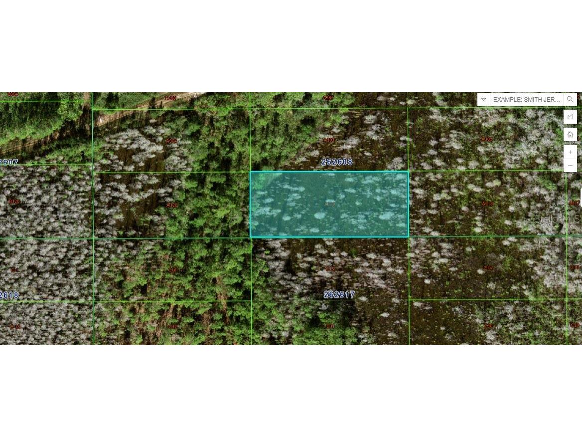 Sweet Hill Rd Polk City FL 33868 O6263834 image1