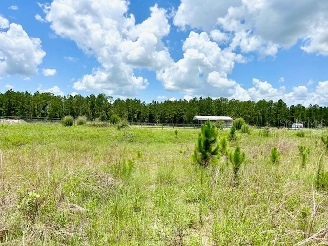 Sweet Hill Road Polk City FL 33868 O6220886 image1