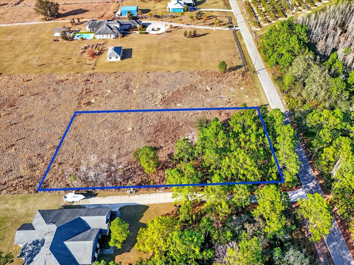 Sweet Hill Road Polk City FL 33868 O6383890 image4