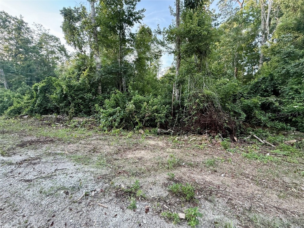 Sweetwater Trail #156 Kissimmee FL 34747 O6257016 image1