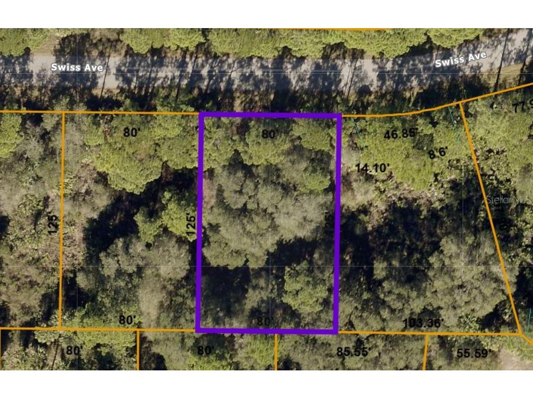 Swiss Avenue North Port FL 34291 C7453019 image1