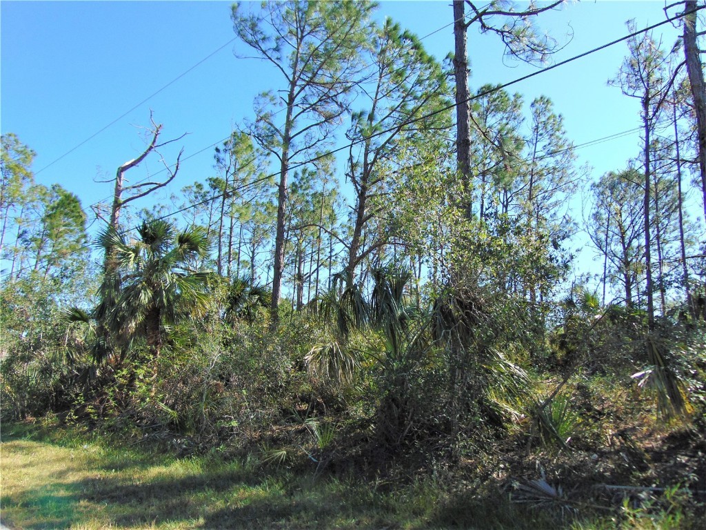 Sword Street North Port FL 34288 C7469071 image1