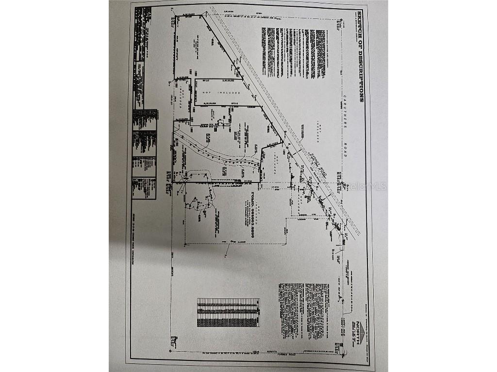 Sydney Road Dover FL 33527 TB8324387 image3