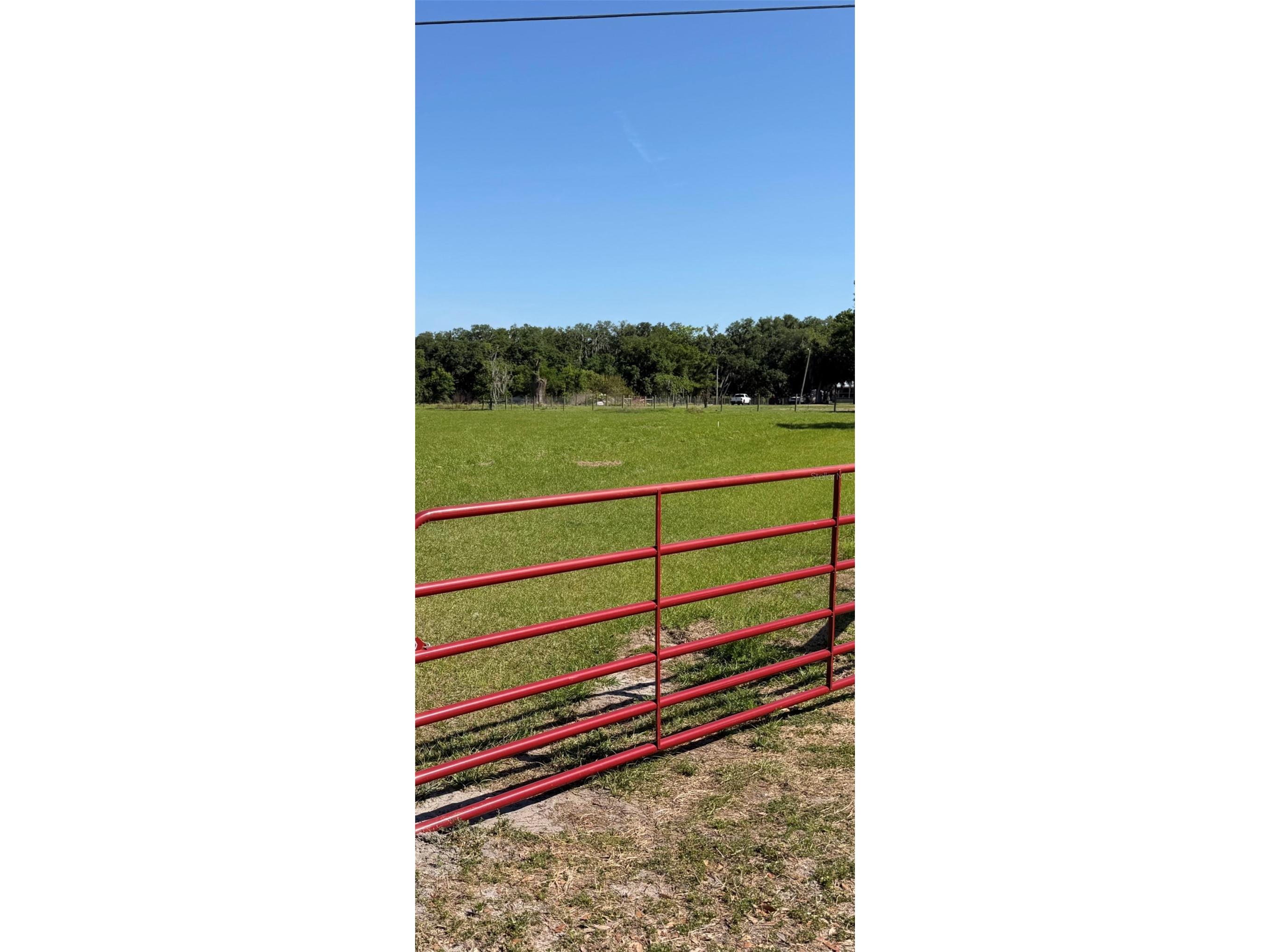 Sydney Road Dover FL 33527 TB8495843 image1